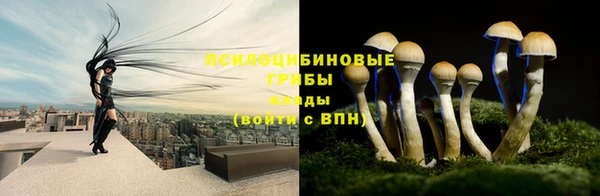 герыч Шадринск