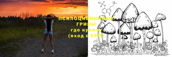 герыч Шадринск